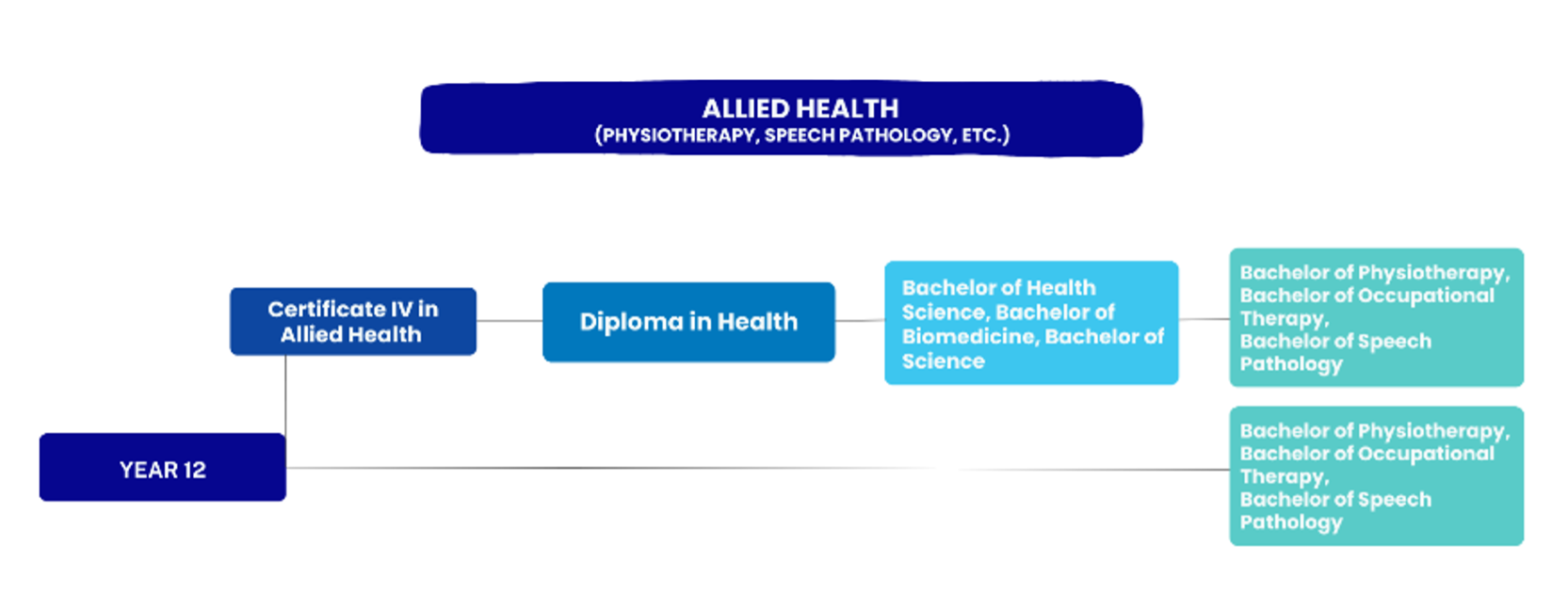 pathway flow for allied health: year 12 to certificate IV to diploma to bachelor
