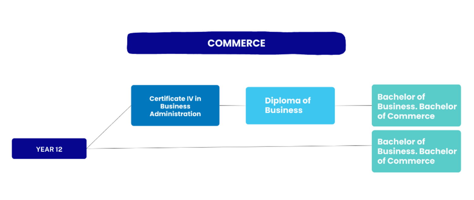 pathway flow for commerce: year 12 to certificate IV to diploma to bachelor
